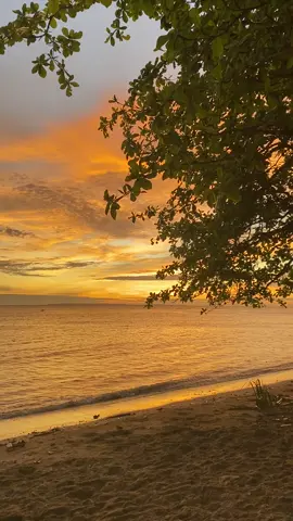 #malukupride🏝🔥 #fyp 