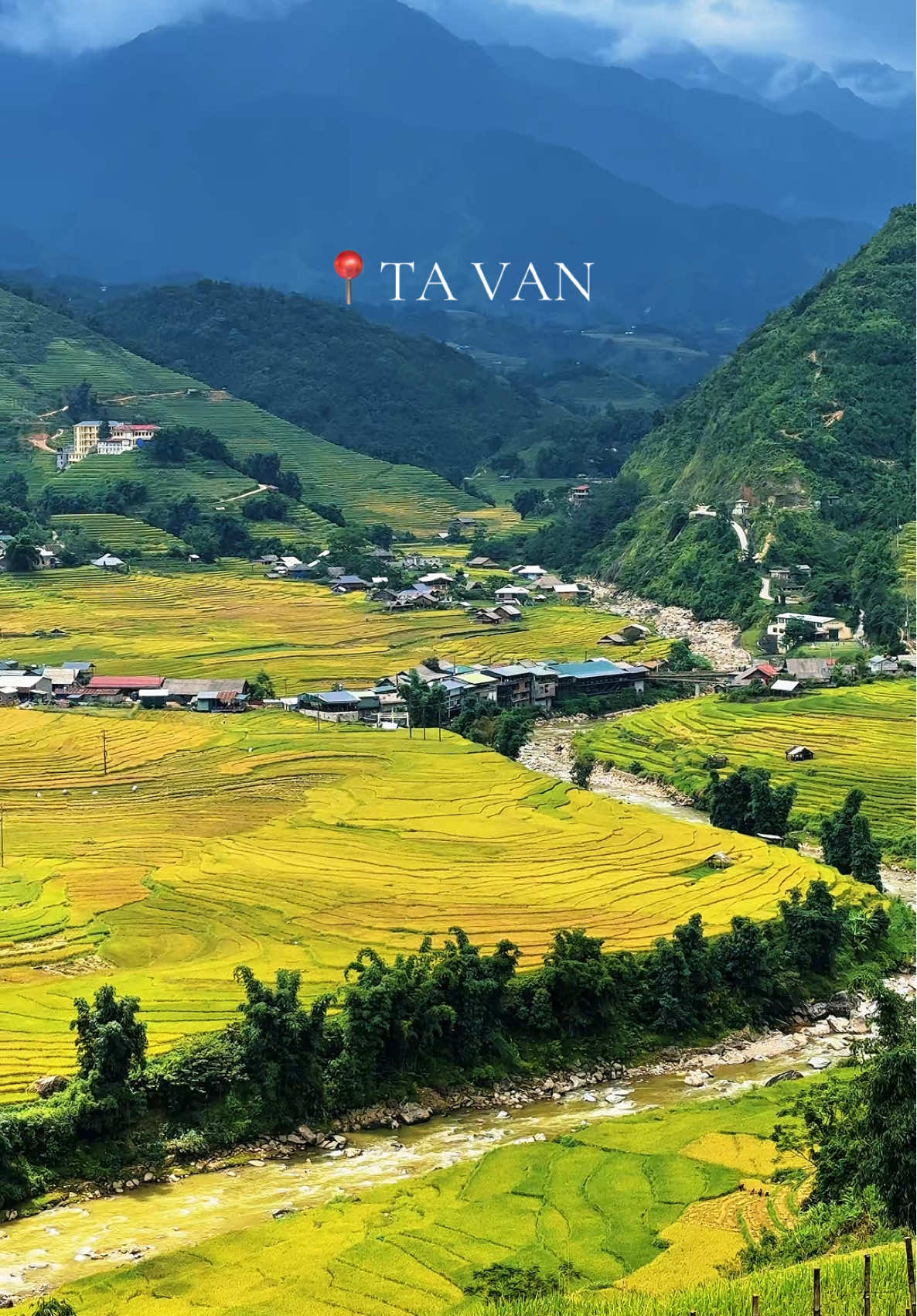 Bản Tả Van - Sapa những ngày lúa chín #sapa #vietnam #xuhuong #trending #viral 