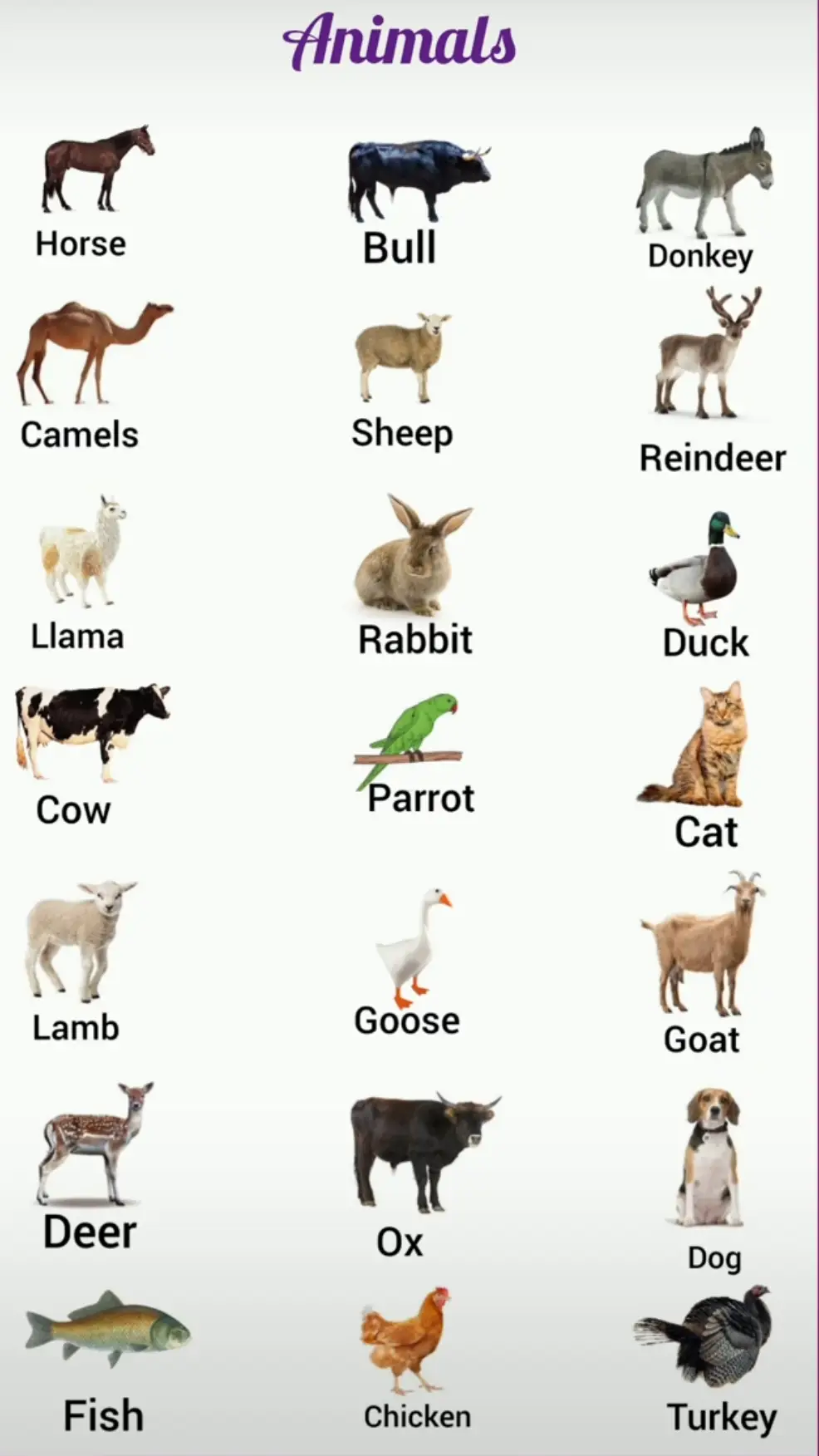 #animalsoftiktok #foryoupage❤️❤️ #viral #storytime #english 