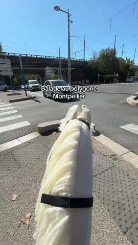 Vlog balade polygone de Montpellier #montpellier #polygone #hobbyhorse #pourtoi #1million 