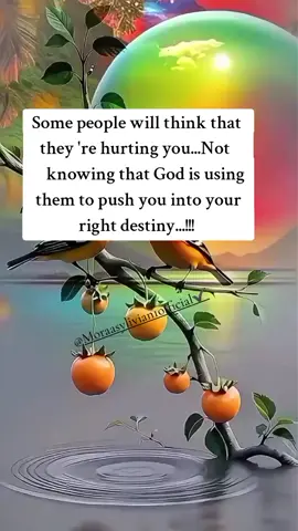 #inspiration #moraasylivian1official #moraasylivian1backup #moraasylivian1 #mumbleden #fyp #viral 