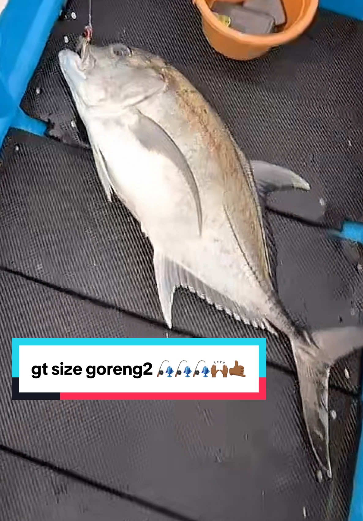 main tipis2 saja belakang rumah, iseng2 turun main jig nd sampai setengah jam alhamdulillah masih ada cintanya 🎣🎣🎣🥰 menyala lagi joran paradise minion @Paradise Fishing Official  JANGAN LUPA MANCING😁🎣🎣🎣 paradiseminion #jigging  #lightjigging #fyp #paradisefishing #gianttravelly 