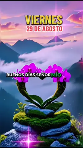 #dúo con @MariAlejandra #oraciondelamañana #fifi🐰♥️🐯 #8luisplaza8 #fifi🐰🇵🇷 