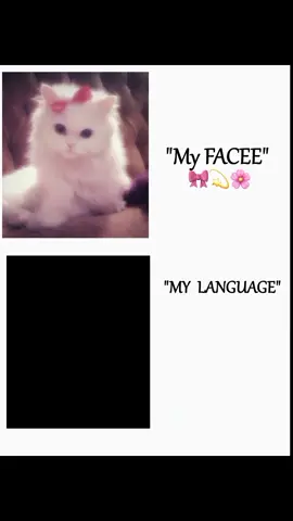 🙂🙂#ViralTrend #ppppppppppppppppppppppp #ViralVideo #ForYouPage #Trending 