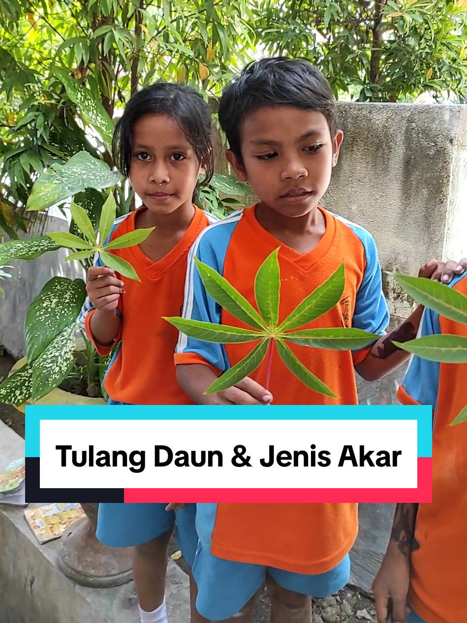 Jenis Tulang Daun dan Jenis Akar pada tanaman.  #ipas #tanaman #siswa  #pembelajaranmendalam #fyp 