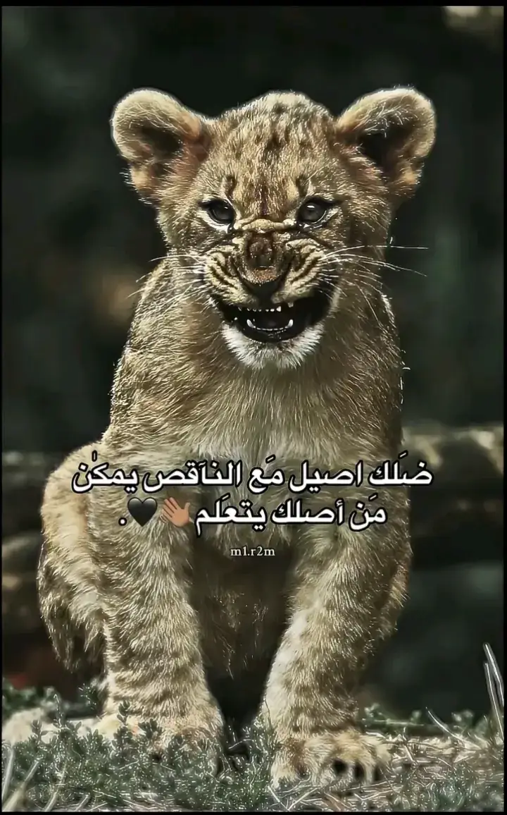 🤑حسين عبده ♥🇪🇬🇱🇾👌🏻