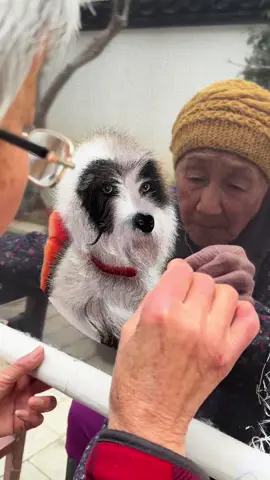 Ma Yanwen Su Embroidery Studio specializes in traditional Chinese double-sided embroidery using the rare kesi weaving technique. She creates breathtaking works where both sides of the silk show different images—stitched with unmatched precision and centuries-old craftsmanship. Artist: 869493167 & 1645713330 on DY #art #embroidery #textileart