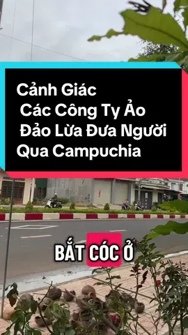 Cảnh Giác Các Công Ty Ảo Đảo Lừa Đưa Người Qua Campuchia @DAILY ☑️  @Daily☑️  @Daily☑️  @Daily☑️ #daily #dailylife #canhgiacluadao #canhgiac #daolua 