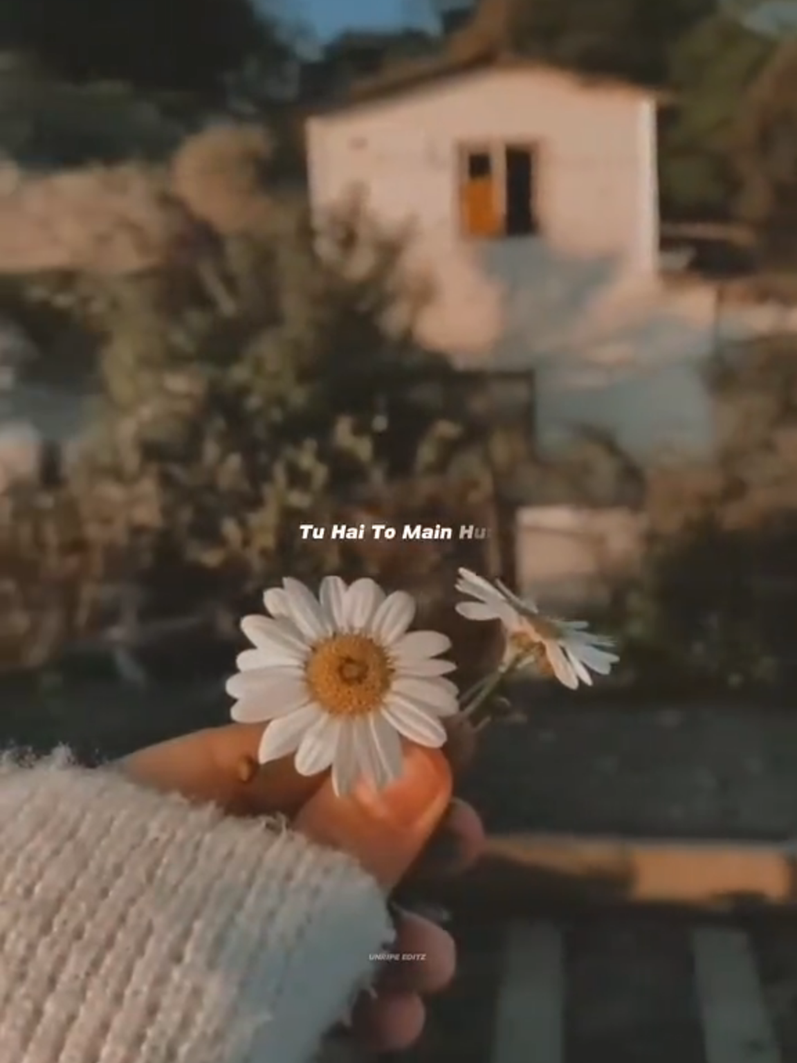 Tu hai Toh Main Hoon 💓 Kasme Waade  #asthetics #lyricvideo #trendingsong #whatsappstatus #trendingshort #viralvideo #video #statusvideo #fyp