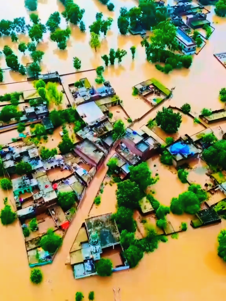#punjabflood #wazirabadflood #sambrial #gujranwala #lahore 