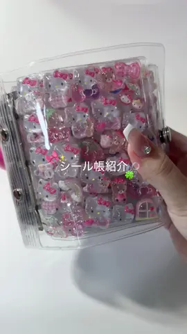 シール帳紹介🍀✨ついにシール帳完成したദ്ദി(៸៸›ᴗ‹៸៸ )今のところ透明シール帳はあともう1冊あるので2冊目も作る予定です🫶🏻 #シール #シール帳 #透明シール帳 #シール帳紹介 #ボンボンドロップシール 