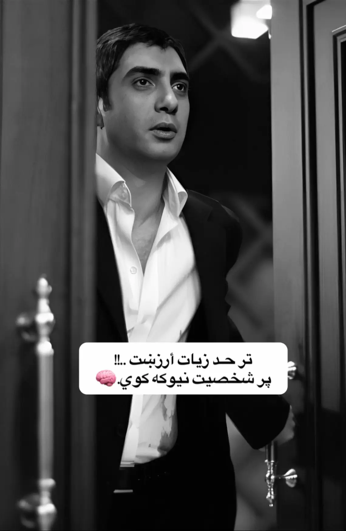 #مور #زوی #مړ #فیلوسف #fyp 