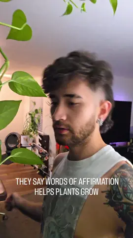 What can I say.. they still growing #plant #plantdad #gay #bi #lgbt