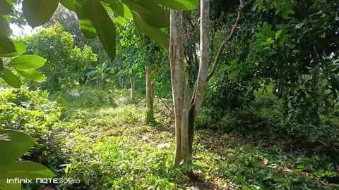 Alhamdulilah syukur rezeki hari jumaat sttel jobb baru. keja layan² ja baru steady🔥#malaysia 