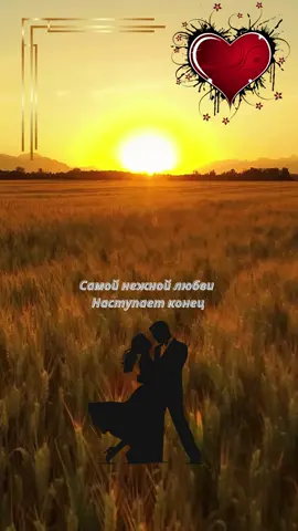 Дорогая пропажа! #любовь❤ #песнидлядуши 