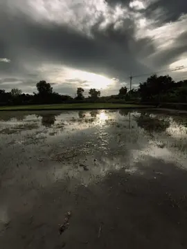 外表和家庭背景，是这个社会评判一个人的两个标准！ . 