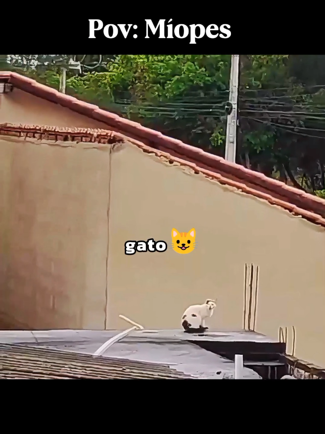 Pov: Míopes #engracado #memecut #humortiktok #miopia 