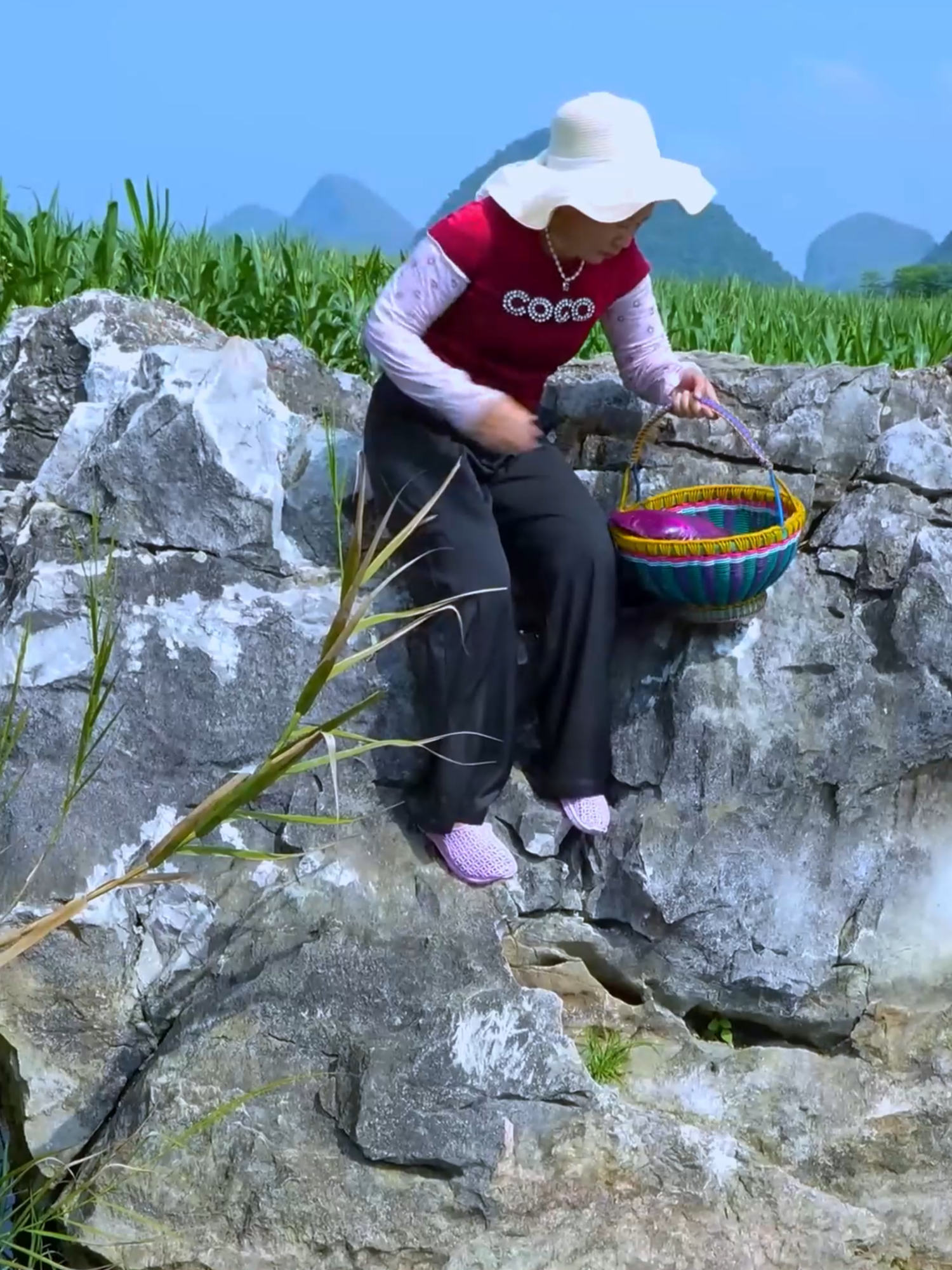 🫣🎁 A Rare Discovery — The Giant Purple Clam Filled With Enchanting Precious Pearls #PurplePearls #GiantClamTreasure #PreciousFinds #OceanSecrets #RareBeauty #treasurefinds #Pearls #asmr