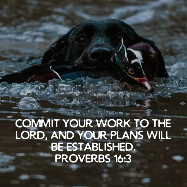 Bible Verse. #fyp #fypシ゚viral #bible #dogs