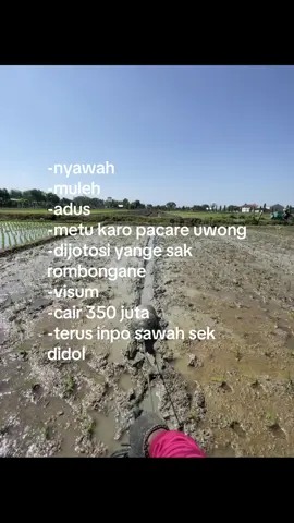 joss jiss jiee😋🤣 #petaniindonesia🇮🇩🇮🇩🇮🇩🌿🌿 #petanimuda #petanigenz #petanicilik 