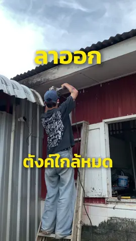 เอาชีวิตรอด Ep.28 #ลาออกมาเลี้ยงไข่ผำ #ลาออก  #ไข่ผํา #ลาออกจากงานประจํา #ฟีดดดシ 