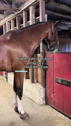 #horse #cavalier #pourtoii #equitation #cheval 