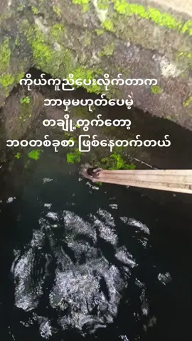 မြွေကလွဲလို့😏😑#fyppppppppppppp #myanmartiktok 