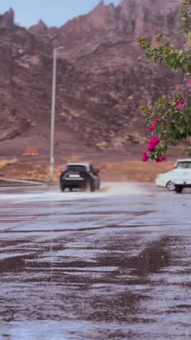 امطار حايل اليوم الجمعة اللهم لك الحمد والشكر هلا بالصوت وهلا بالريحة 😍 #حايل #fyp #اكسبلور #حايلندا #امطار 