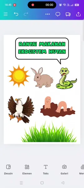 File Diorama Rantai Makanan  ✅ Ekosistem Hutan ✅ Ekosistem Sabana ✅ Ekosistem Air Tawar ✅ Ekosistem Sawah ✅ Ekosistem Laut #lkpd #diorama #kelas5 #gurusd #trendingtiktok 