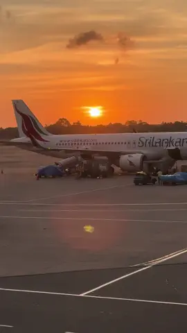 Airport එක ලස්සනම හවසට🧡😫✈️ #fypageシ♡ #viral #flights #aviation #airforce 