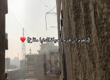 #مطر #قران_كريم #شيخ 