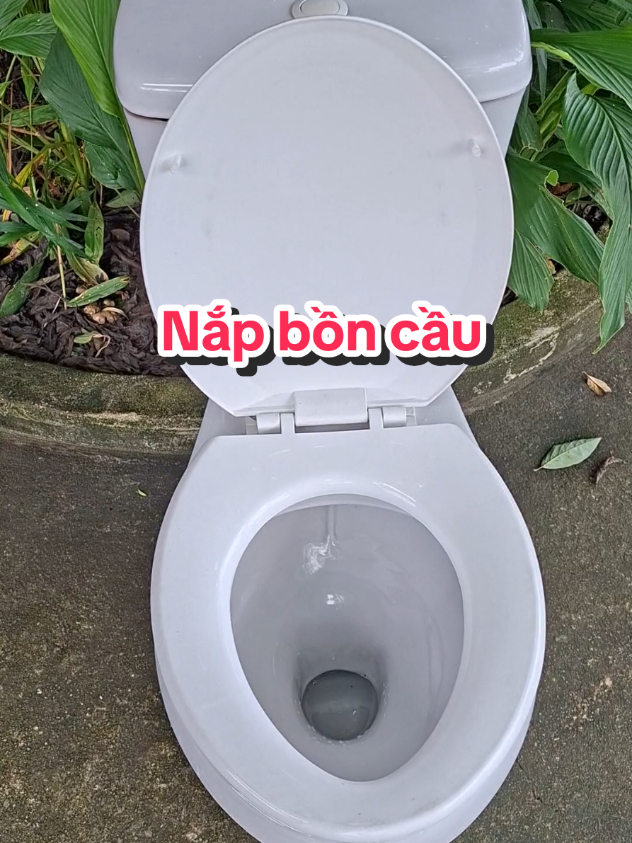 Nắp bồn cầu lắp cho bồn cầu có 2 khối rời nhau riêng biệt hoặc bồn cầu không có két nước, có 3 màu lựa chọn: trắng, xanh biển, xanh ngọc #Sụcđunnướcsôi  #Quạthútgiónhàvệsinh  #QuạthútgióâmtrầnSenko  #Nắpbồncầu 