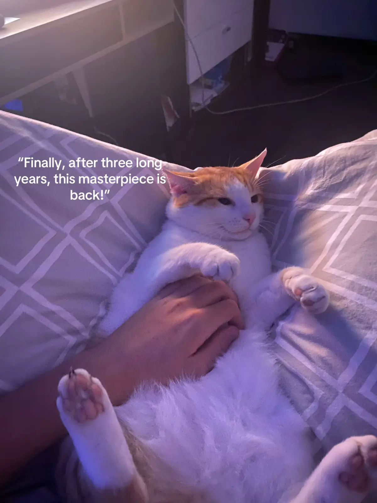 #foryoupage❤️❤️ #86 #relatable #2021 #eightysix 