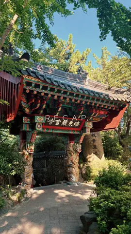 #Busantrip #busantravel #haedongyonggungsatemple 