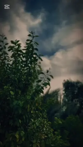 #CapCut #اني_غريب_الدار# #🦅🦁_ديب_النعيم #مواويل_عميانه #شعب_الصيني_ماله_حل😂😂 @علاء الحجي @الفنان محمد الحجي 