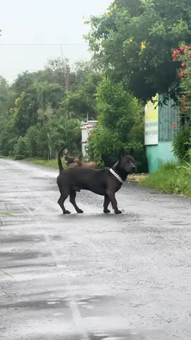 Tu qué tu qué tu qué nà