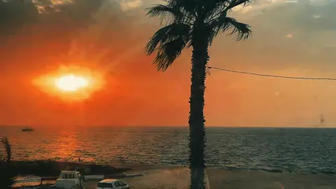 #تونس🇹🇳 #algeria #الشعب_الصيني_ماله_حل😂😂 #الجزائر🇩🇿 #العجال_و_الحكومة_العاقلة🍾🥂 