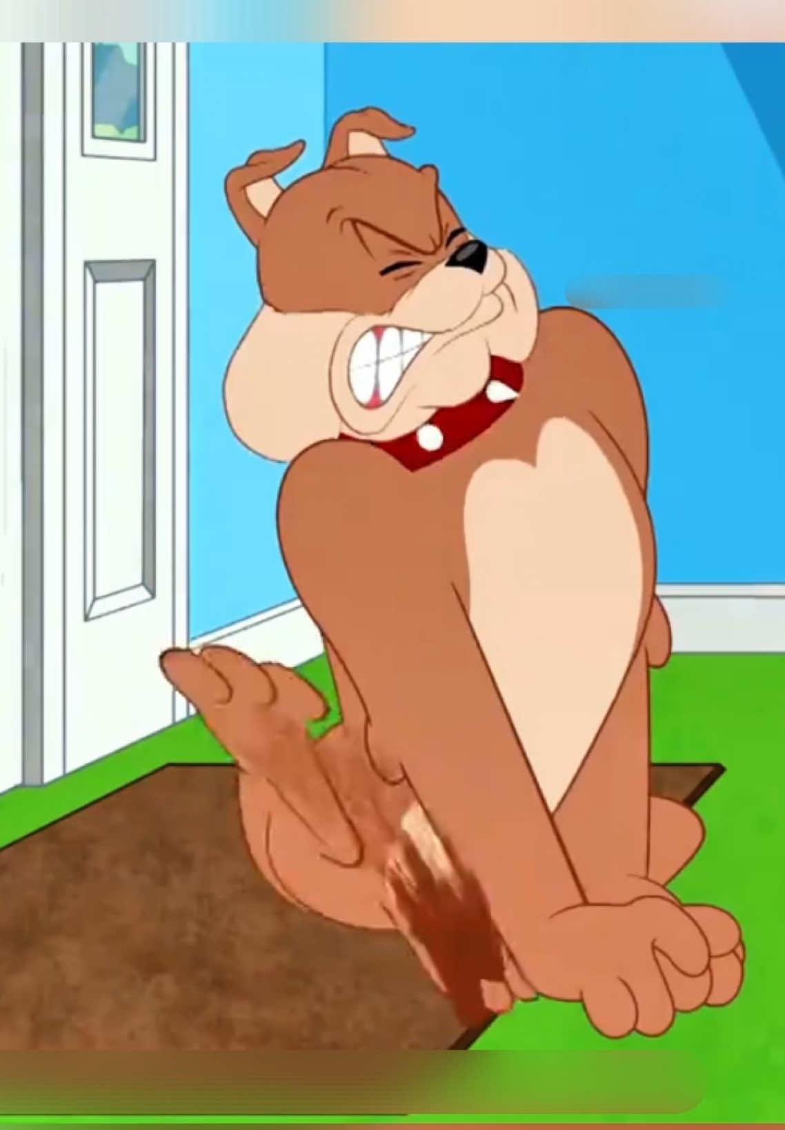 Bộ 3 hợp sức trừ khử bọ chét…#hoathinh #fyp #foryou #review #jerry_movie1 