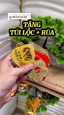 Trả lời @Mèo rewiew Lá bồ đề con giáp và đồng xu hoa mai #xuhuongtiktok #xuhuong #dongxuhoamaikimtien #labode12congiaptheotuoichomna #chiasekinhnghiem 