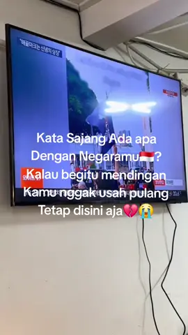 Belum lama aku kangen negri tercinta,ada niat ingin pulang tetapi bosku malah bilang begitu. bagaimana komentar kalian teman teman. komen di bawah #fyppppppppppppppppppppppp #pejuangwon🇰🇷🇲🇨 #pmikorea🇮🇩♡🇰🇷 #dprri #indonesia🇮🇩 