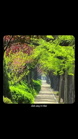 Nếu cả đời này không rực rỡ thì sao? #anhsangtrithuc#truyencamhung#chualanh