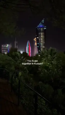 Meet in kuwait?#kuwait #الكويت #middleeast #gcc #december 