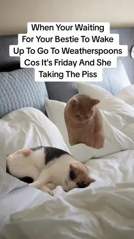 #CapCut #fyp #fyppppppppppppppppppppppp #everyone 