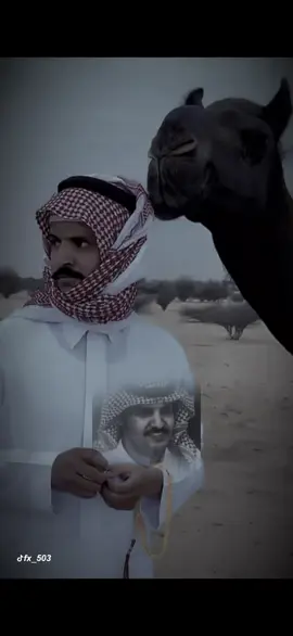 #عبدالعزيز_الوذيناني #انشهد #fypシ #fyp #قصيد 