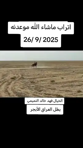#ماشاءالله_تبارك_الله_اذكروا_الله #خيول_عربية_اصيلة_🌹💙 #الابجر🦅 #العراق_السعوديه_الاردن_الخليج @ابو اليمامه @خيال بني تميم 