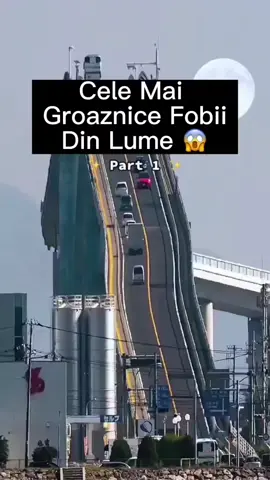 #curiozitateazilei #curiozitateazilei #curiozitateazilei #curiozitateazilei #curiozitateazilei 