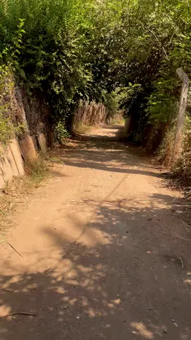 #فهد_نوري #ياخوي #ديالى_بعقوبة #ديالى_بعقوبة_الجديدة  #يسعدلي_اوقاتكم_حبايبي🕊🌹💙 