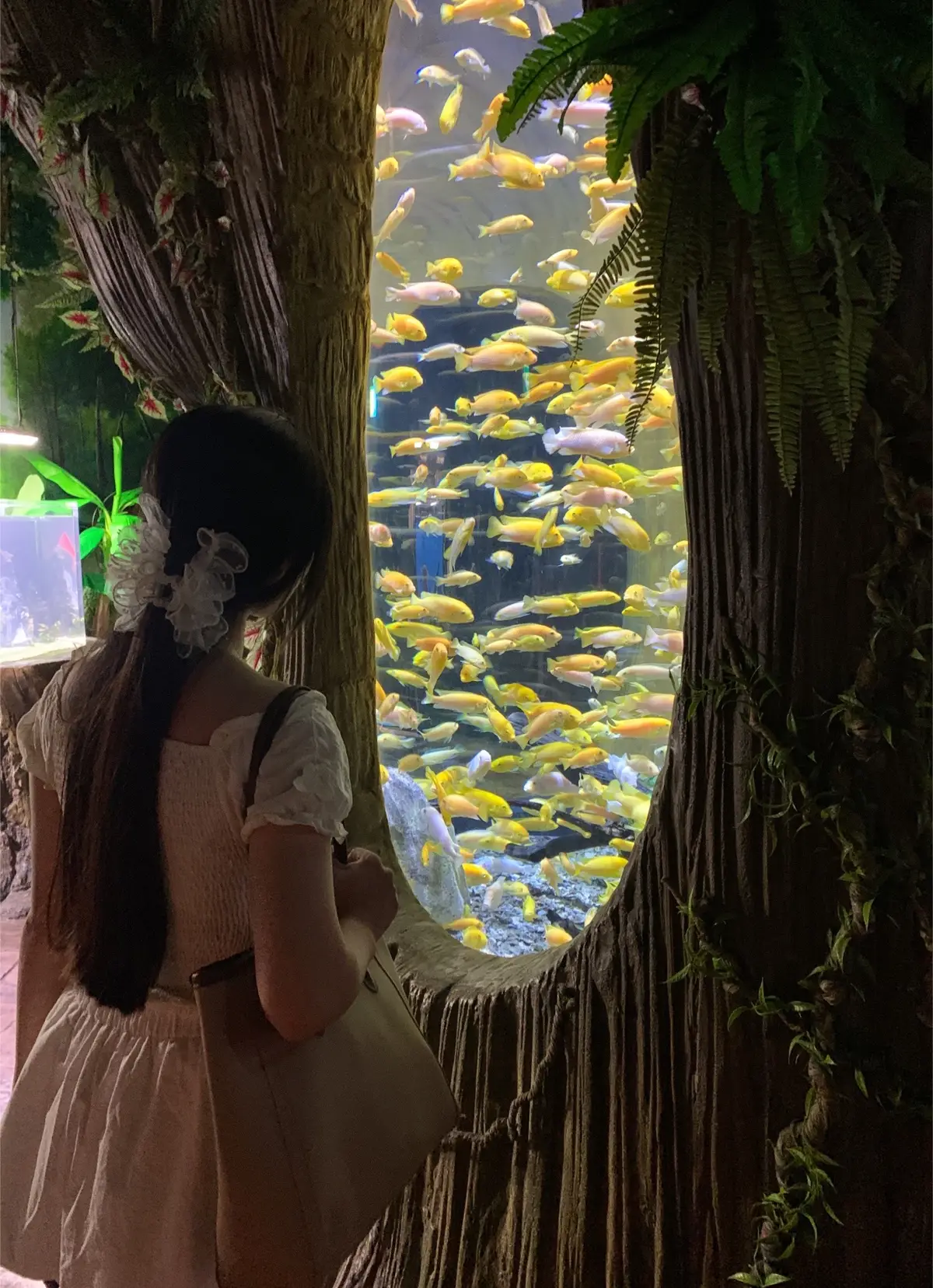 #thuycunglottehanoi #lotteworldaquarium🐟🐠🐬🐋🐳🦈 #lottemalltayho 