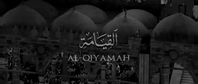 #ماهرالمعيقلي #سورة_القيامة #قران 