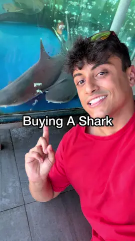 Shark 🤤 #shark #seafood #seafoodlover 